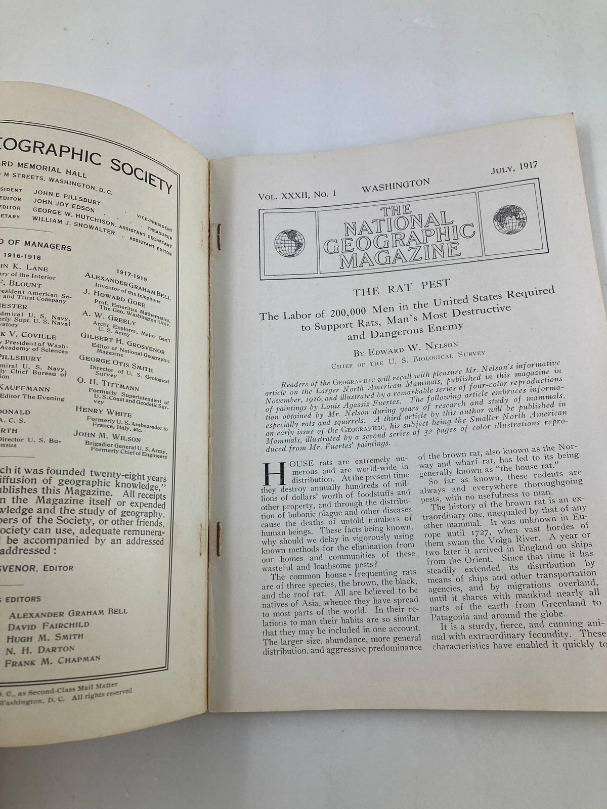 Interior page of VTG The National Geographic Magazine July 1917 displaying the article 'The Rat Pest' discussing public health concerns and pest management.