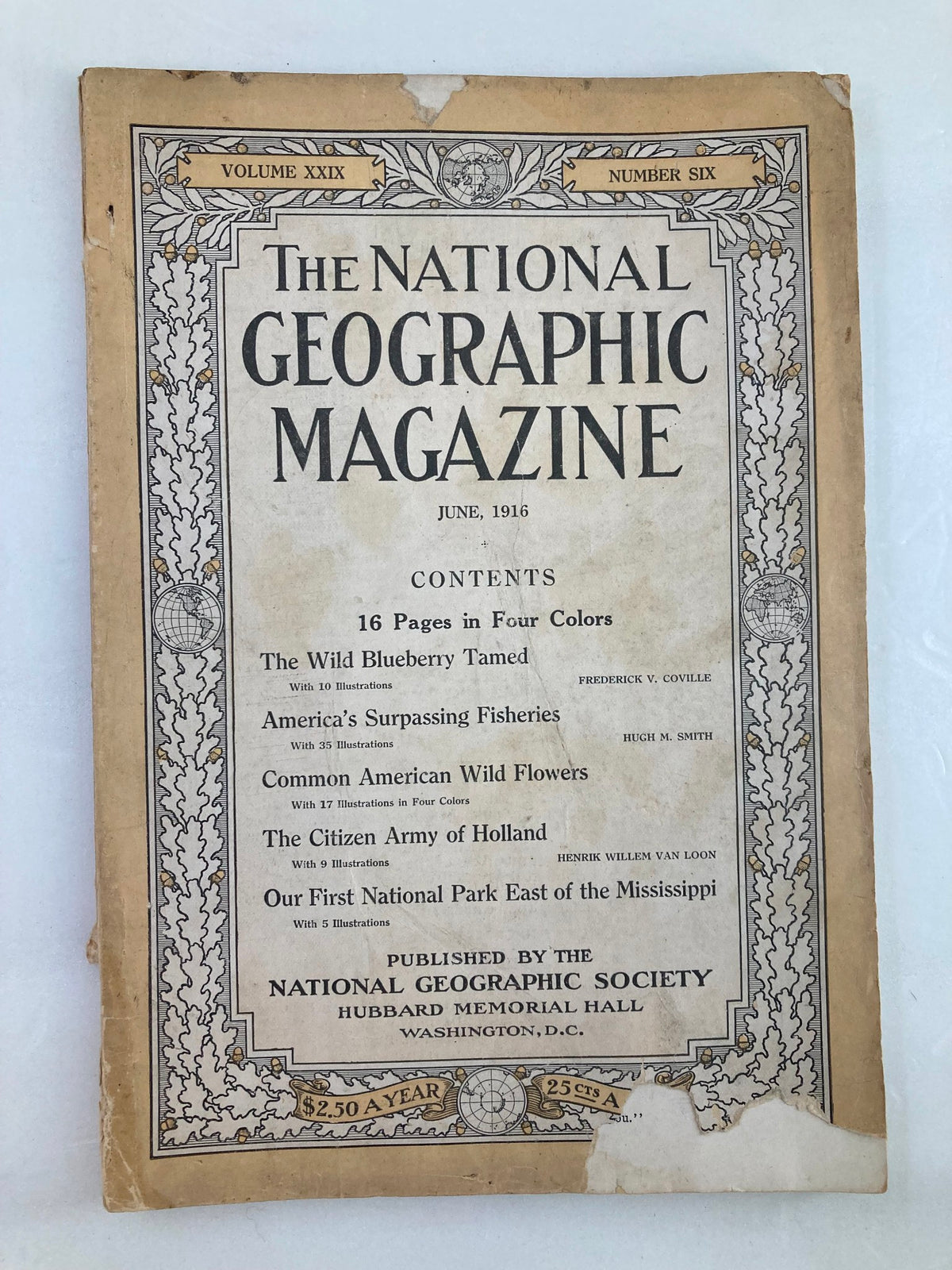 Cover of VTG The National Geographic Magazine June 1916 showcasing the table of contents including articles on 'The Wild Blueberry Tamed' and 'American Wild Flowers'.