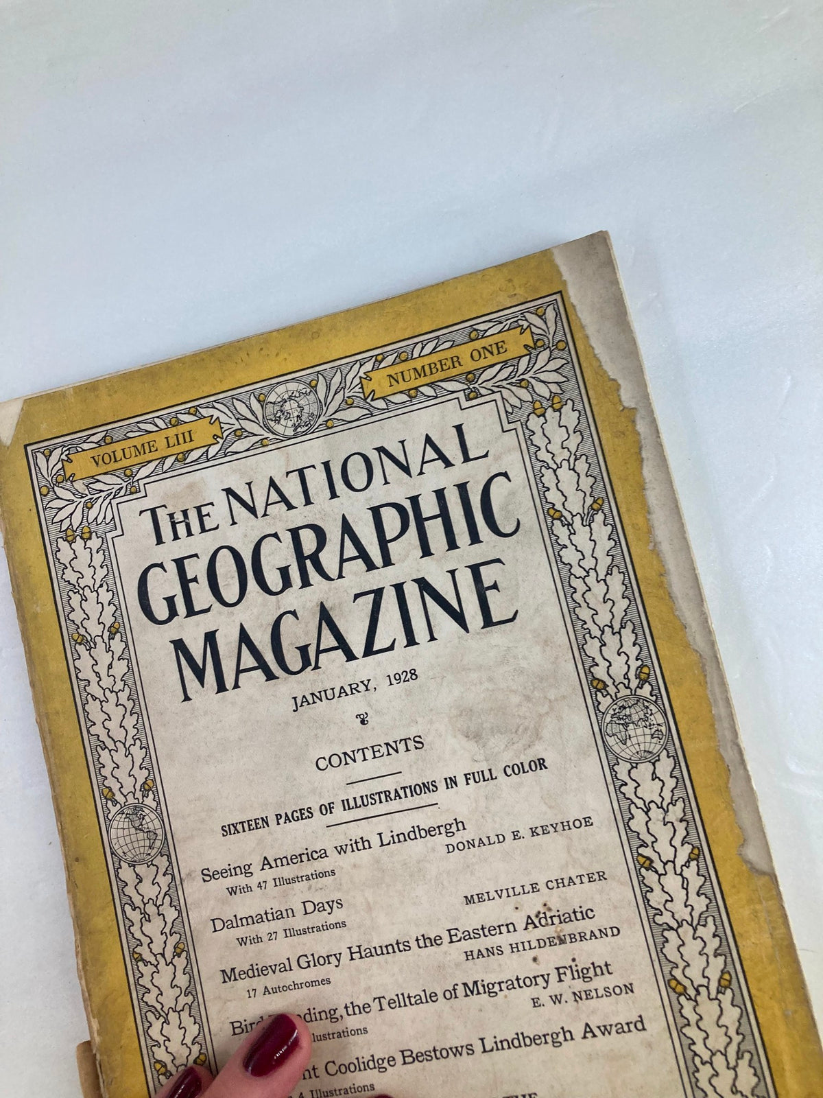 Detailed view of the January 1928 edition of the vintage National Geographic Magazine cover, emphasizing bird banding and listing features such as illustrations and historical content.
