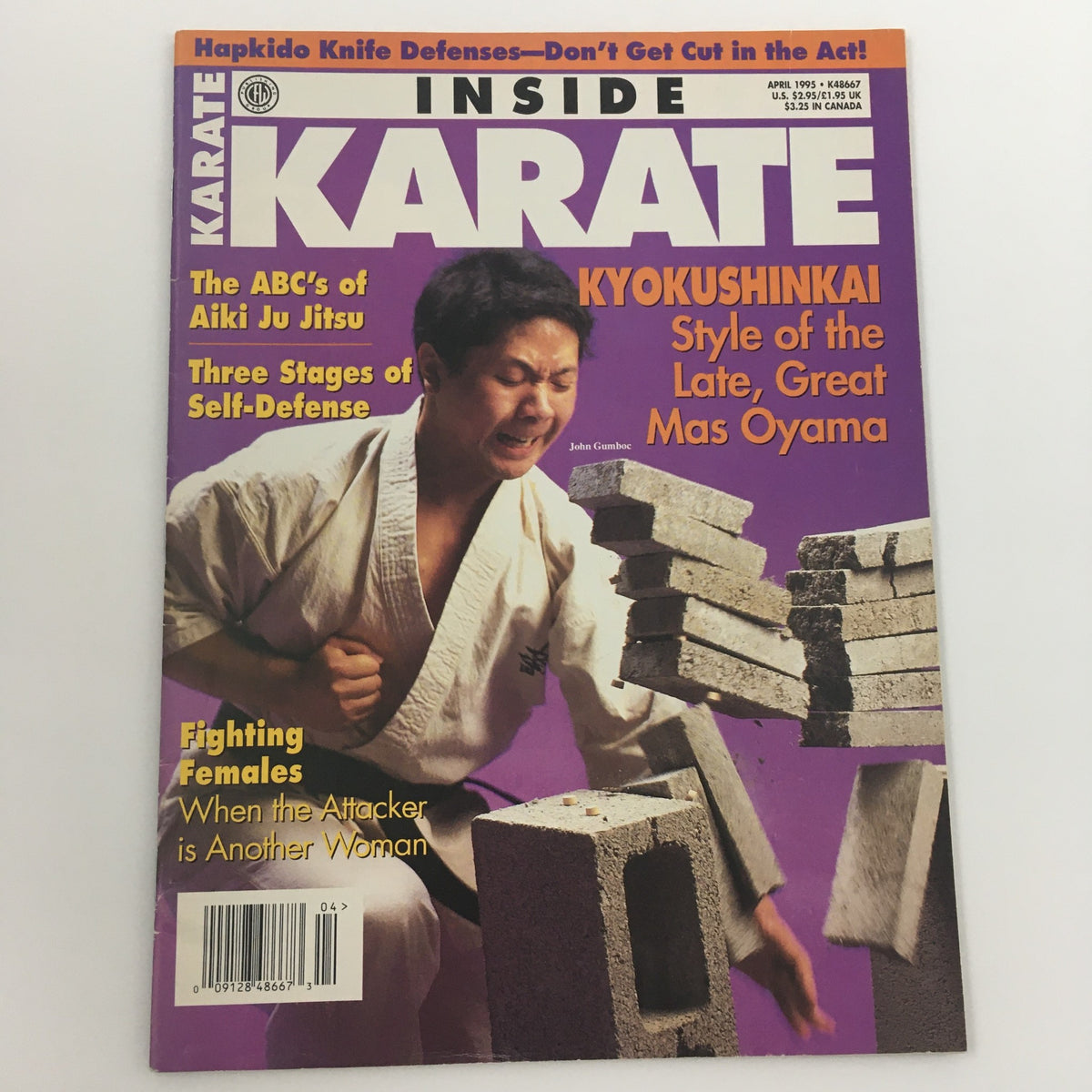 Inside Karate Magazine April 1995 cover with the headline 'The ABC's of Aiki Ju Jitsu' and a martial artist in action, breaking bricks, highlighting martial arts techniques.