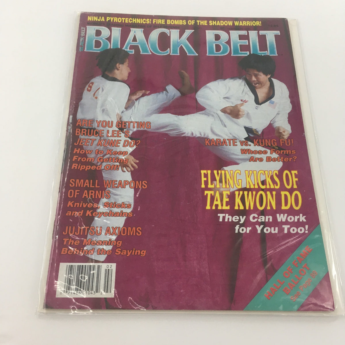 Cover of Black Belt Magazine February 1991 featuring 'Flying Kicks of Tae Kwon Do'. The magazine showcases martial arts techniques and training insights, illustrated with vibrant colors and dynamic poses from practitioners.