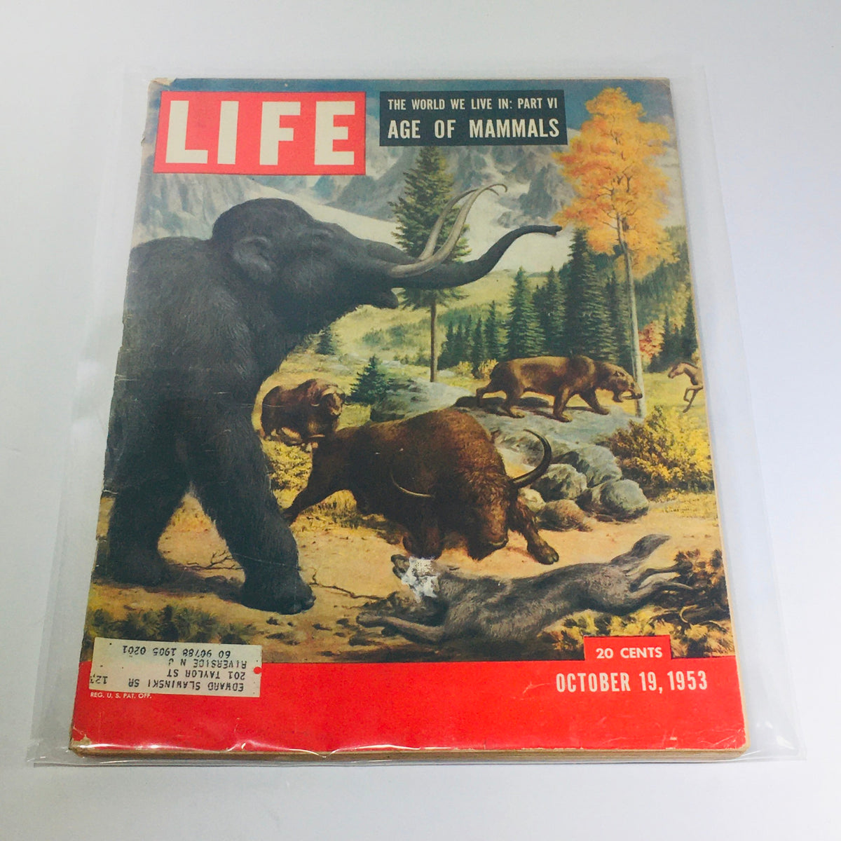 VTG Life Magazine from October 19, 1953, titled 'The World We Live In: Part VI - Age of Mammals', featuring a striking cover illustration of prehistoric mammal life including a woolly mammoth and other animals in a natural landscape.