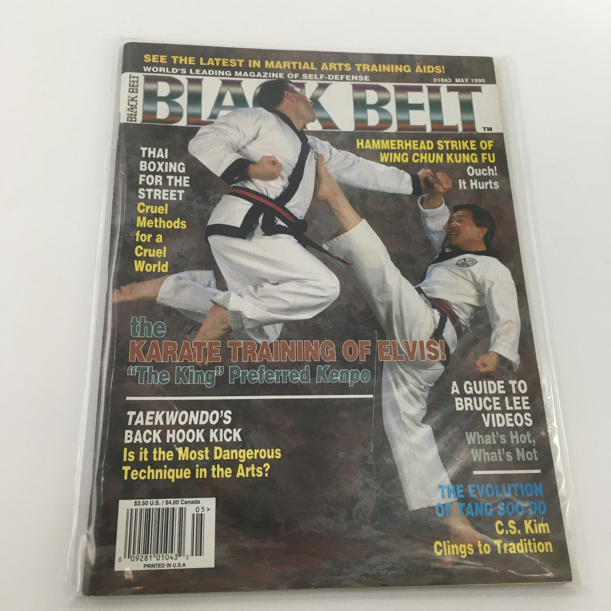 Cover of Black Belt Magazine May 1995 featuring the Hammerhead Strike of Wing Chun Kung Fu. The magazine highlights martial arts techniques, including Thai Boxing, and showcases dynamic poses of martial artists.