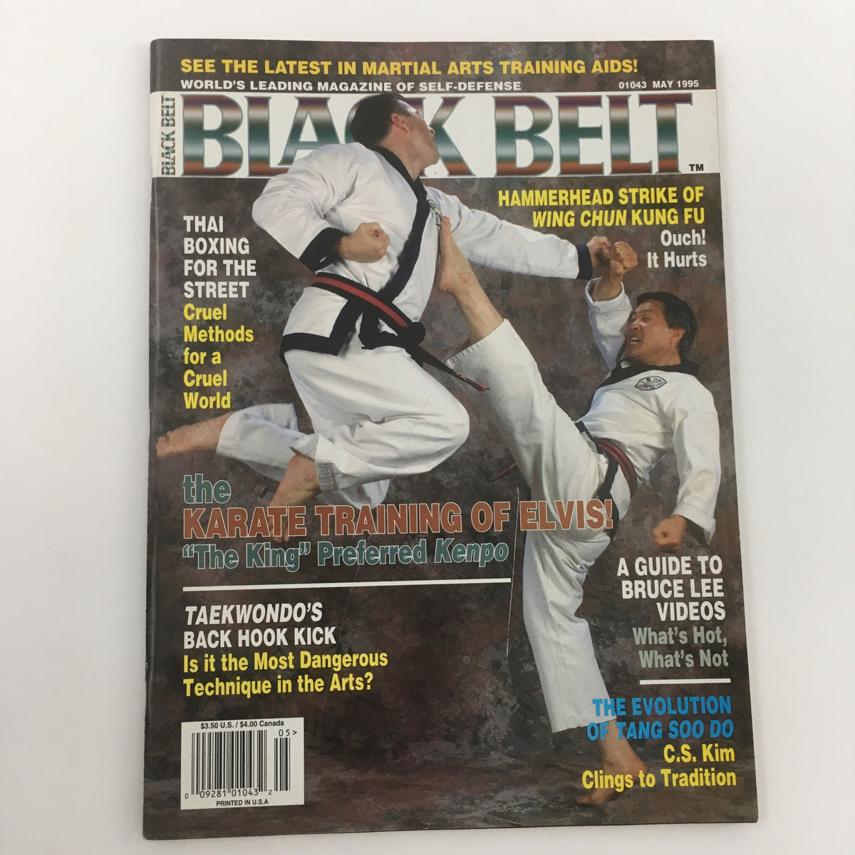 Cover of Black Belt Magazine May 1995, showcasing the Hammerhead Strike of Wing Chun Kung Fu. The magazine features martial arts topics, including Thai Boxing and training techniques, illustrated with action shots.