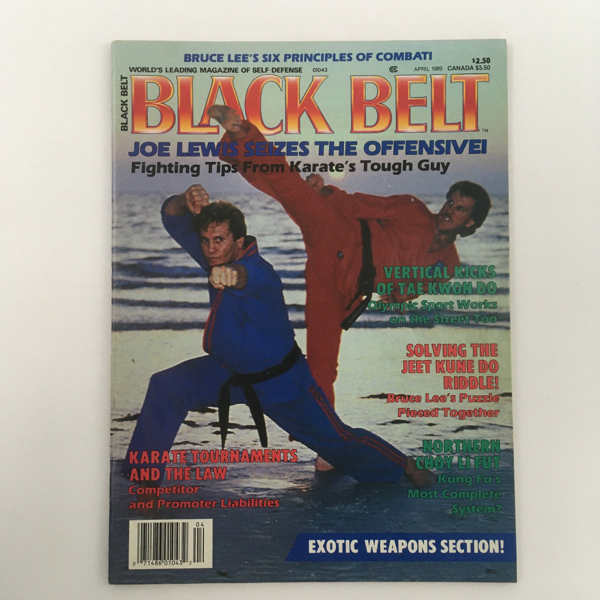 Front cover of Black Belt Magazine April 1989 showcasing the Northern Choy Li Fut Kung Fu System. The image depicts martial artists performing combat techniques, with headlines about Karate and expert fighting tips.
