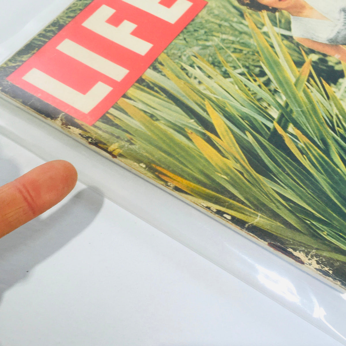 Close-up detail of the VTG Life Magazine cover from May 6, 1957 with Sophia Loren, highlighting the magazine's worn edges and vintage charm.