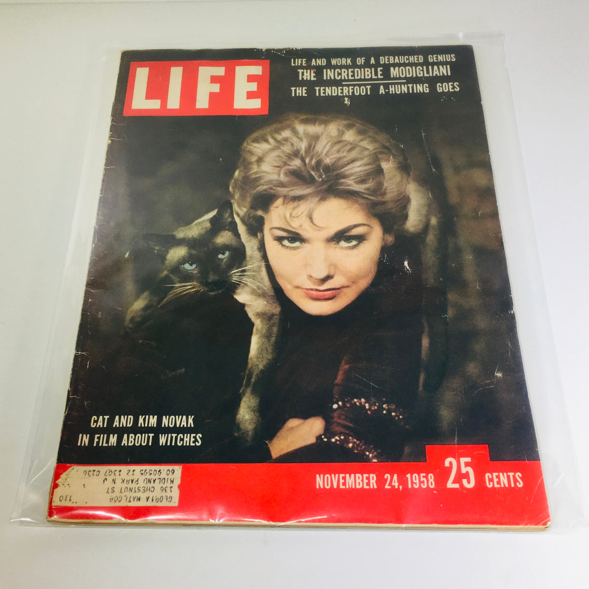Vintage Life Magazine cover from November 24, 1958 featuring Kim Novak and a cat, highlighting the art of Modigliani.