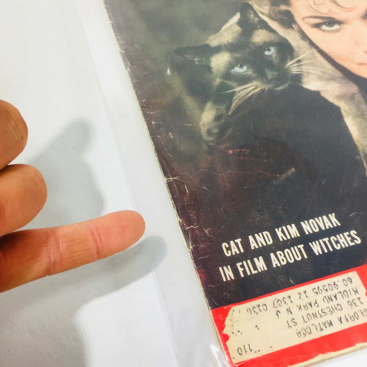 Close-up view of the November 24, 1958 Vintage Life Magazine cover showcasing Kim Novak and a cat, with visible address label.
