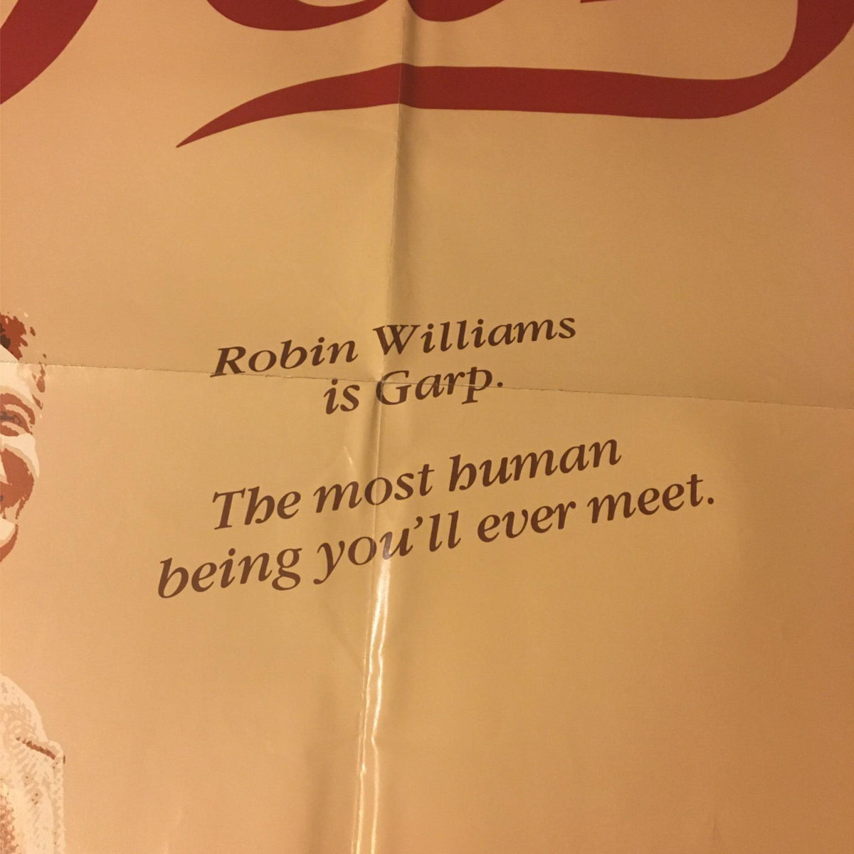 Close-up view of the tagline from the 1982 The World According to Garp movie poster, featuring the text 'Robin Williams is Garp. The most human being you'll ever meet.' in an elegant font.