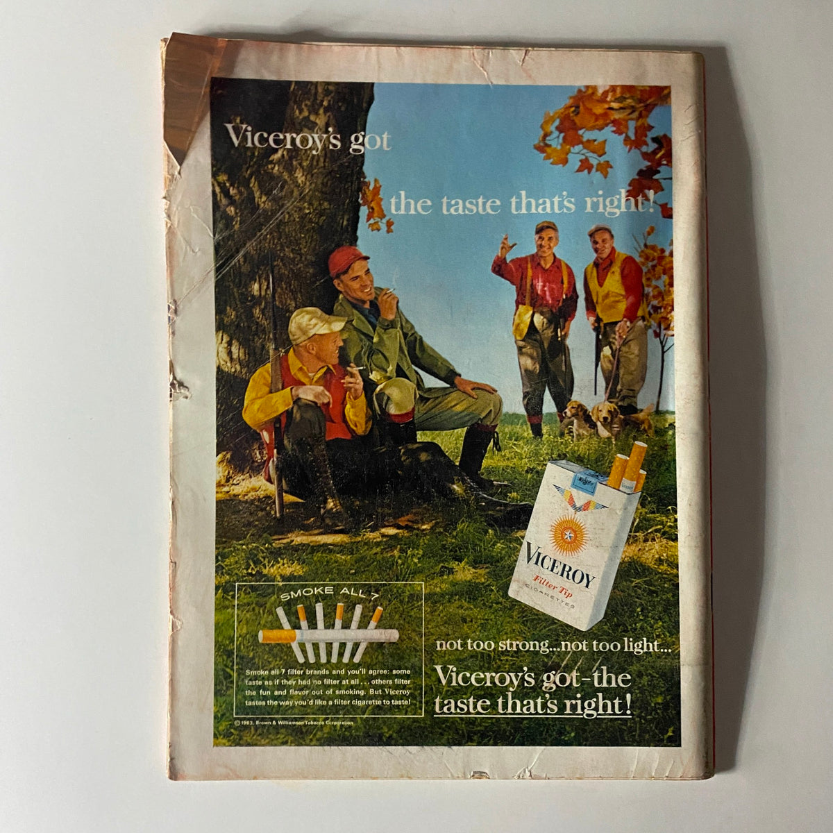 Vintage advertisement for Viceroy cigarettes, illustrating a group of men enjoying a leisurely moment outdoors, emphasizing the slogan 'Viceroy's got the taste that's right'.
