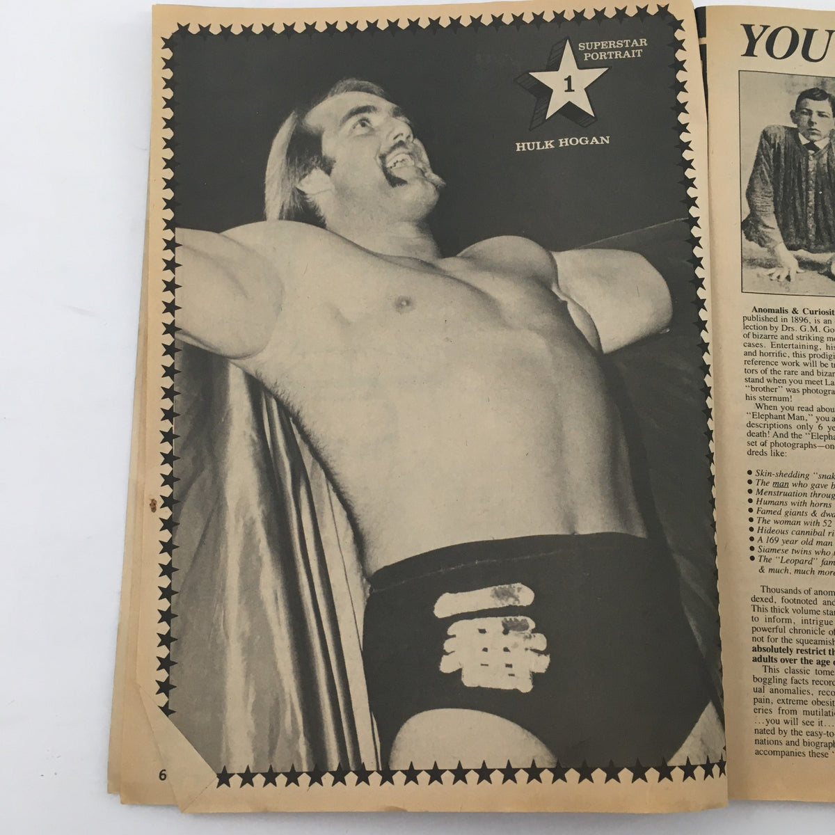 Interior page from Wrestling Superstars Magazine Fall 1982 featuring a portrait of Hulk Hogan, the number one superstar, showcasing his larger-than-life persona.