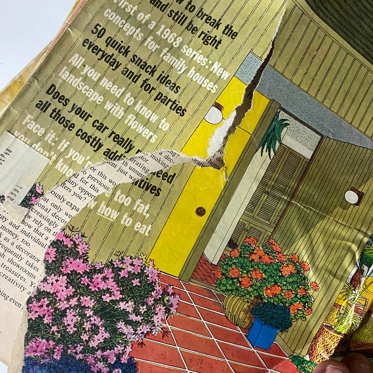 Torn page from Lot of 15 Better Homes and Gardens Magazine 1968 - 1969, 1971 displaying vibrant illustrations and text about home and garden, highlighting the nostalgic charm of these vintage issues.