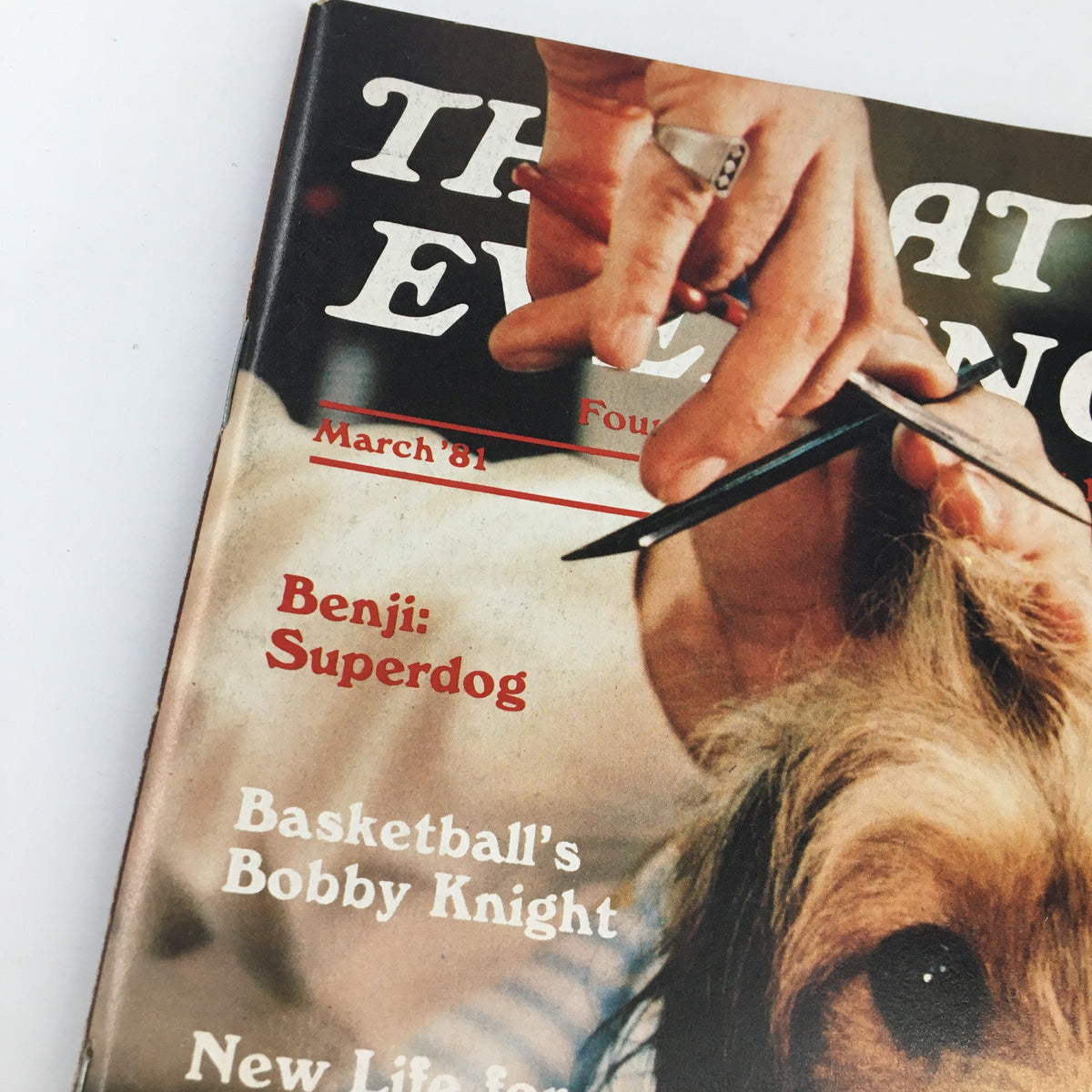 Close-up of The Saturday Evening Post March 1981 cover highlighting Benji the Superdog and additional articles, capturing the essence of vintage magazine design.