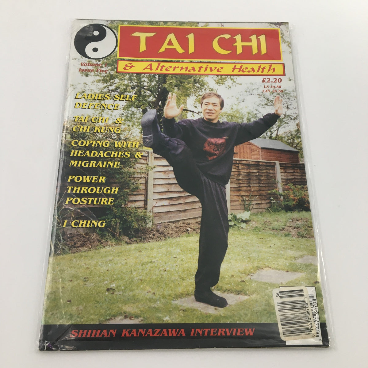 Cover of Tai Chi & Alternative Health Summer 1995 Vol 1 #5 featuring Shihan Kanazawa in a yoga-like pose, promoting wellness, traditional Tai Chi practices, and alternative health solutions.