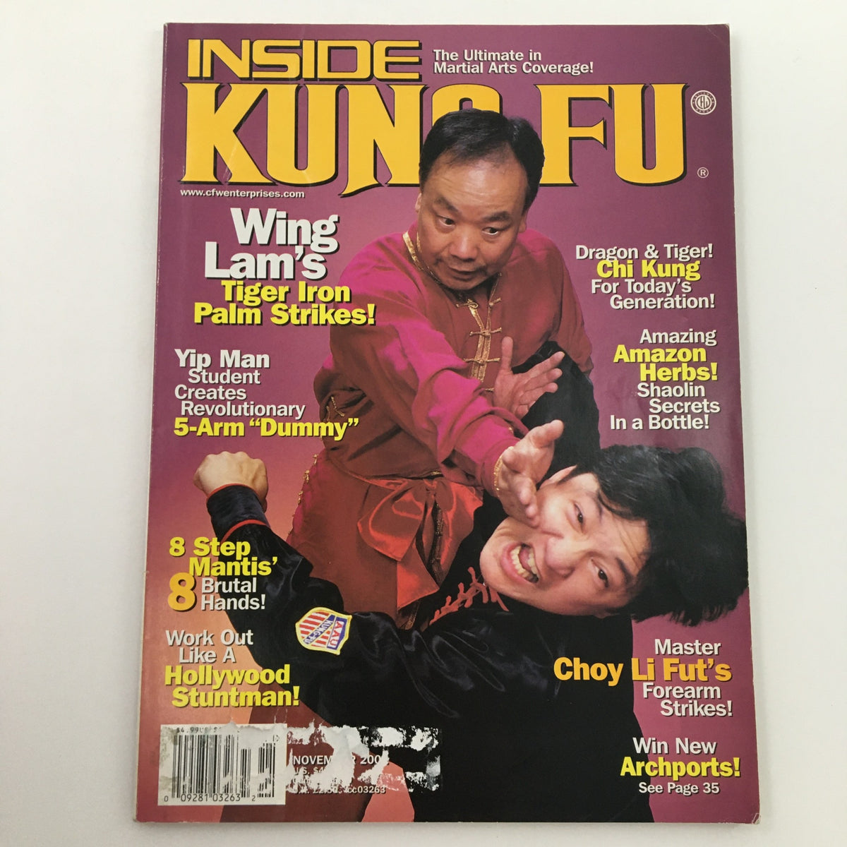 Cover of Inside Kung-Fu Magazine, November 2002 featuring Wing Lam's Tiger Iron Palm Strikes, showcasing martial arts techniques and training insights.