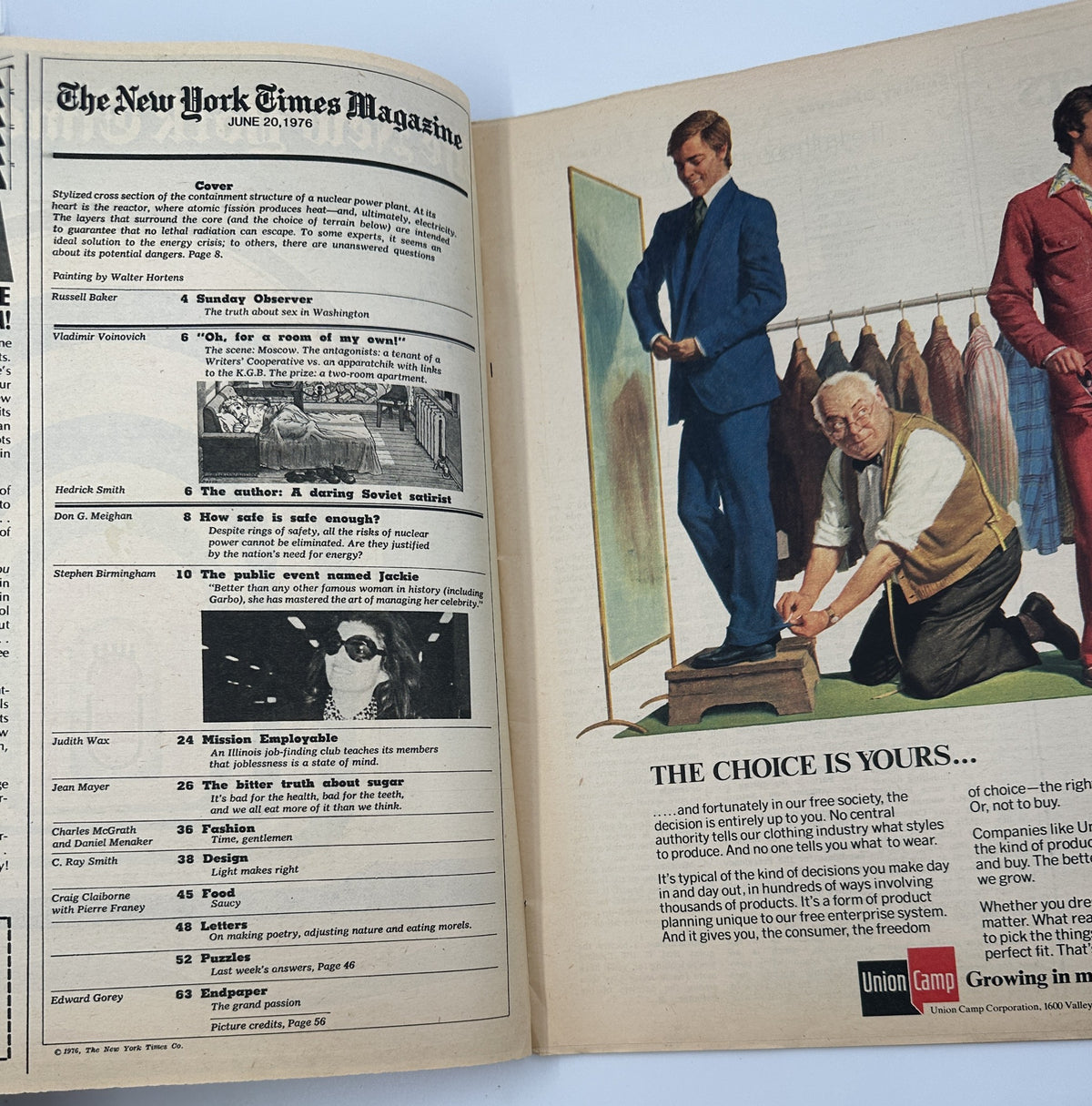 Inside spread of The New York Times Magazine June 20, 1976 featuring the Table of Contents and editorial highlights, including articles on nuclear power safety, societal issues, and more.