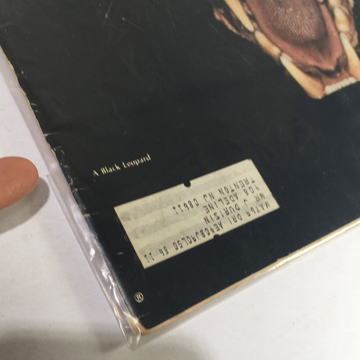 Back cover of Life Magazine January 6 1967, highlighting details and the caption 'A Black Leopard', along with an address label.