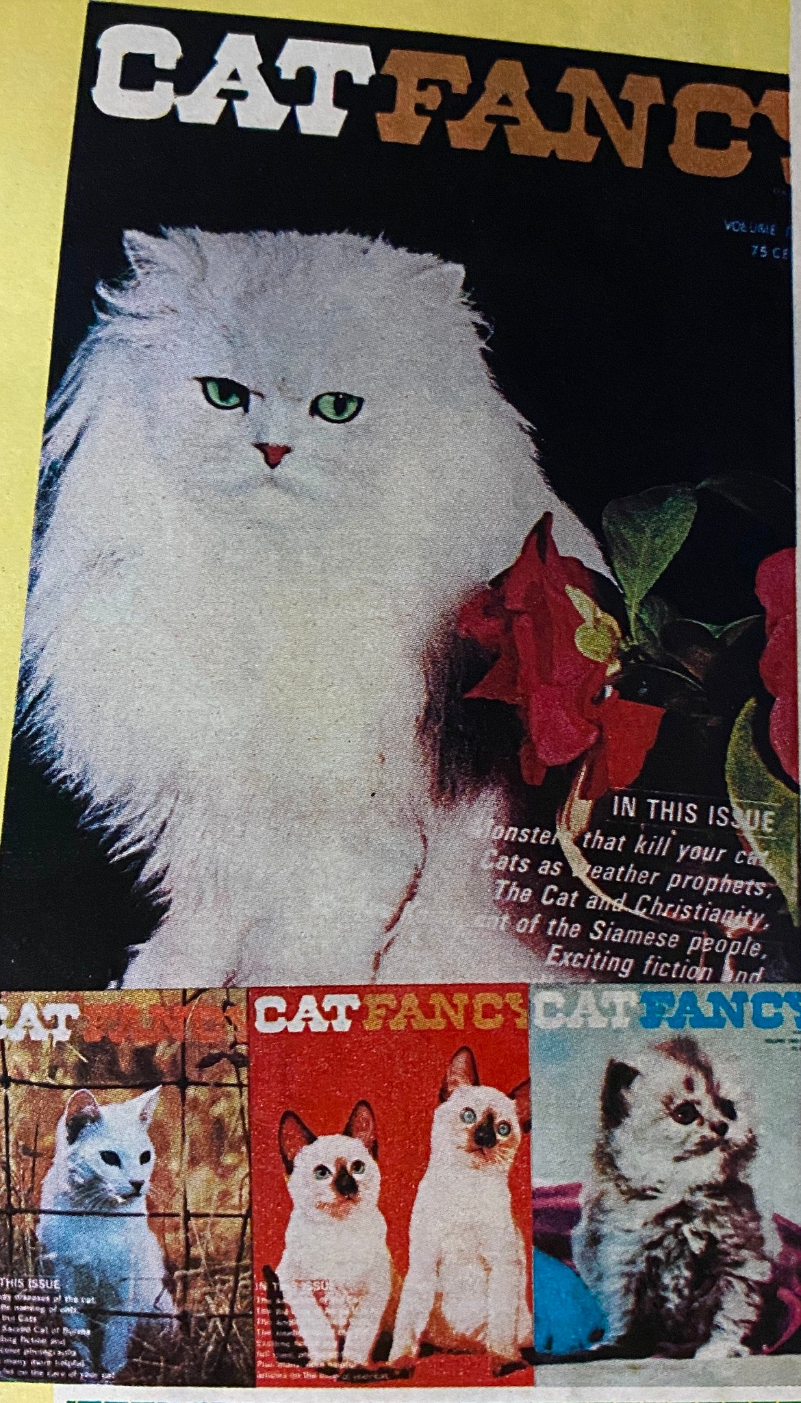 Vintage cover of Cat Fancy magazine, showcasing a white cat and smaller cat covers, emphasizing themes of feline care and enjoyment.