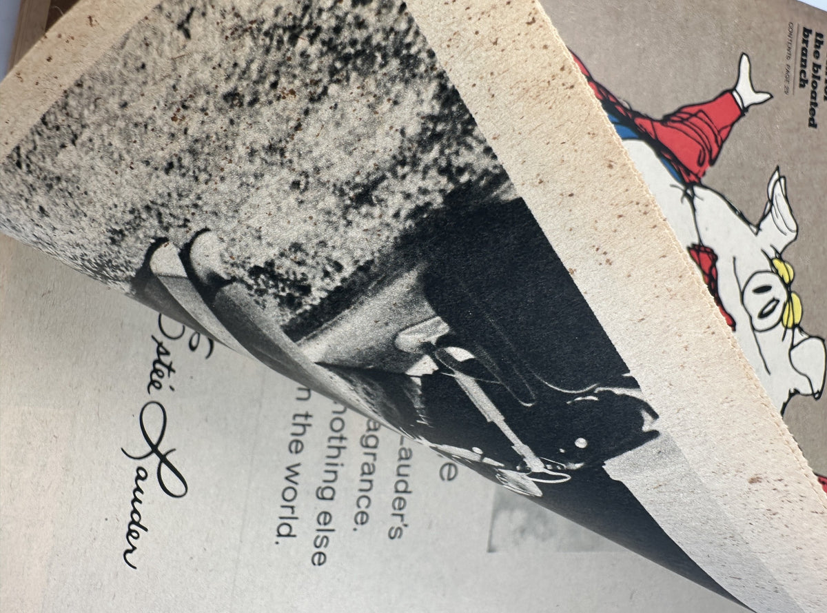 Close-up of a page from The New York Times Magazine, November 10, 1974, showcasing a photograph related to Watergate and a commentary on political issues.