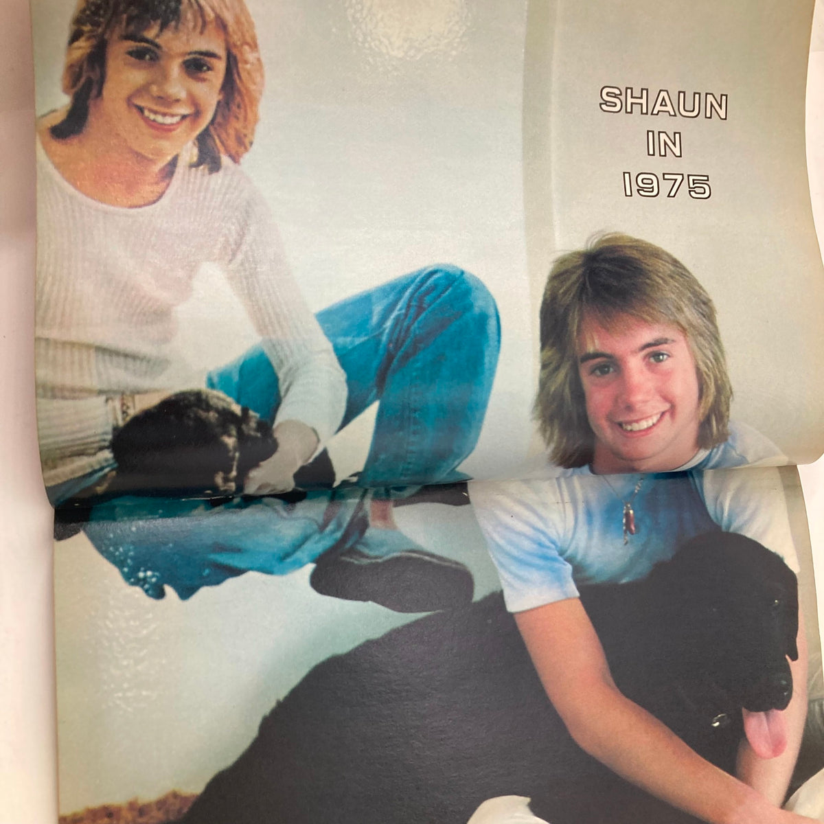 A page from Tiger Beat Super Special 1978 #18 showing Shaun Cassidy in a playful pose with a dog, reflecting the style of 1975.