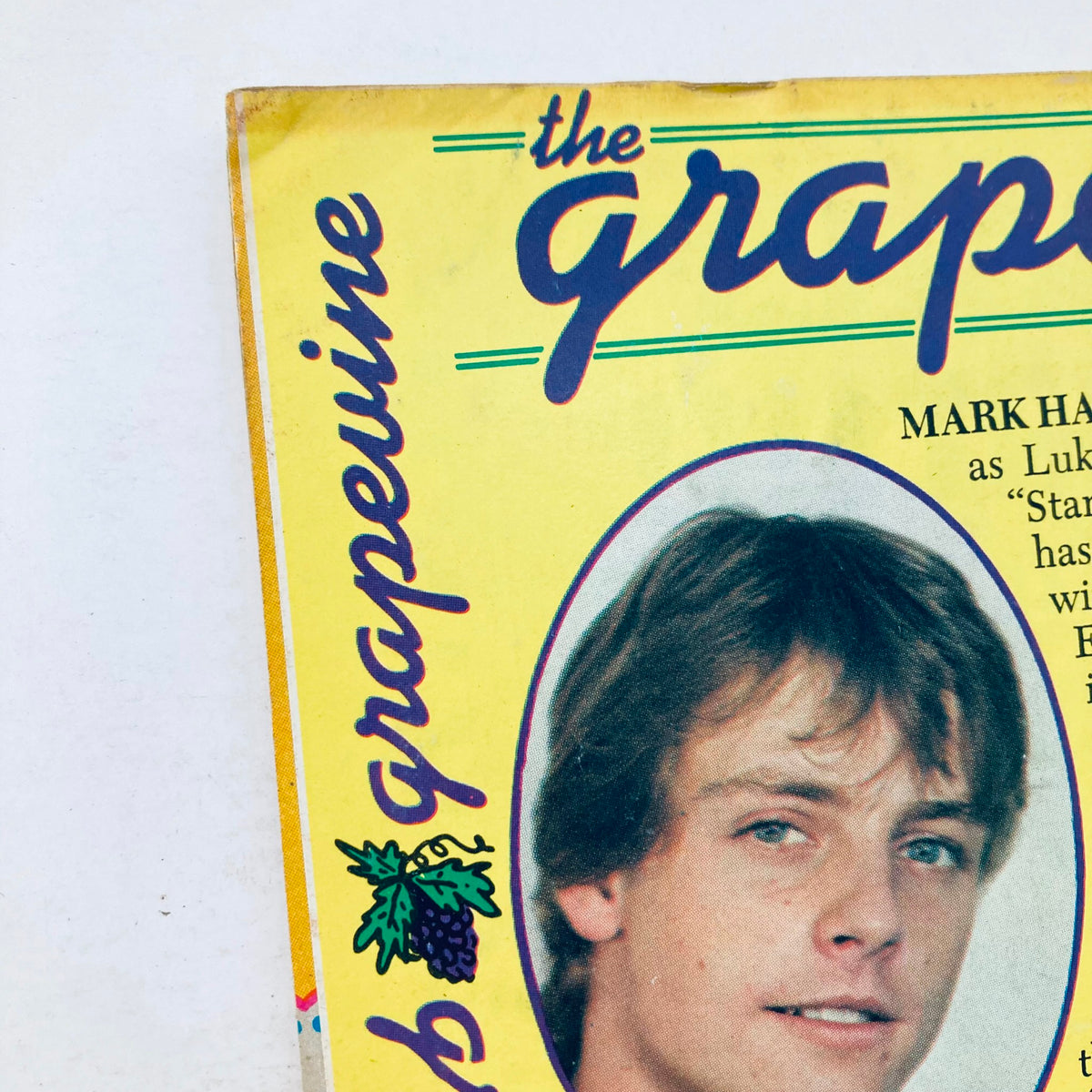 Close-up of Mark Hamill's photo from the back cover of Tiger Beat Star September 1977, highlighting his hairstyle and dedication to the magazine.