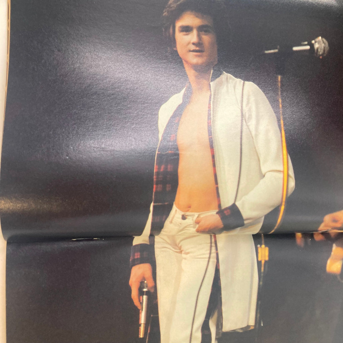 Stylized image from VTG Teen Bag Magazine July 1978 featuring a male singer in a performance pose, encapsulating the vibrant music culture of the late 1970s.