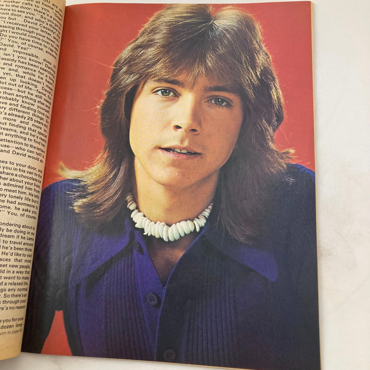 Portrait of a young pop culture icon in VTG Teen Pin-Ups Magazine from November 1975, showcasing a stylish hairstyle and fashion.