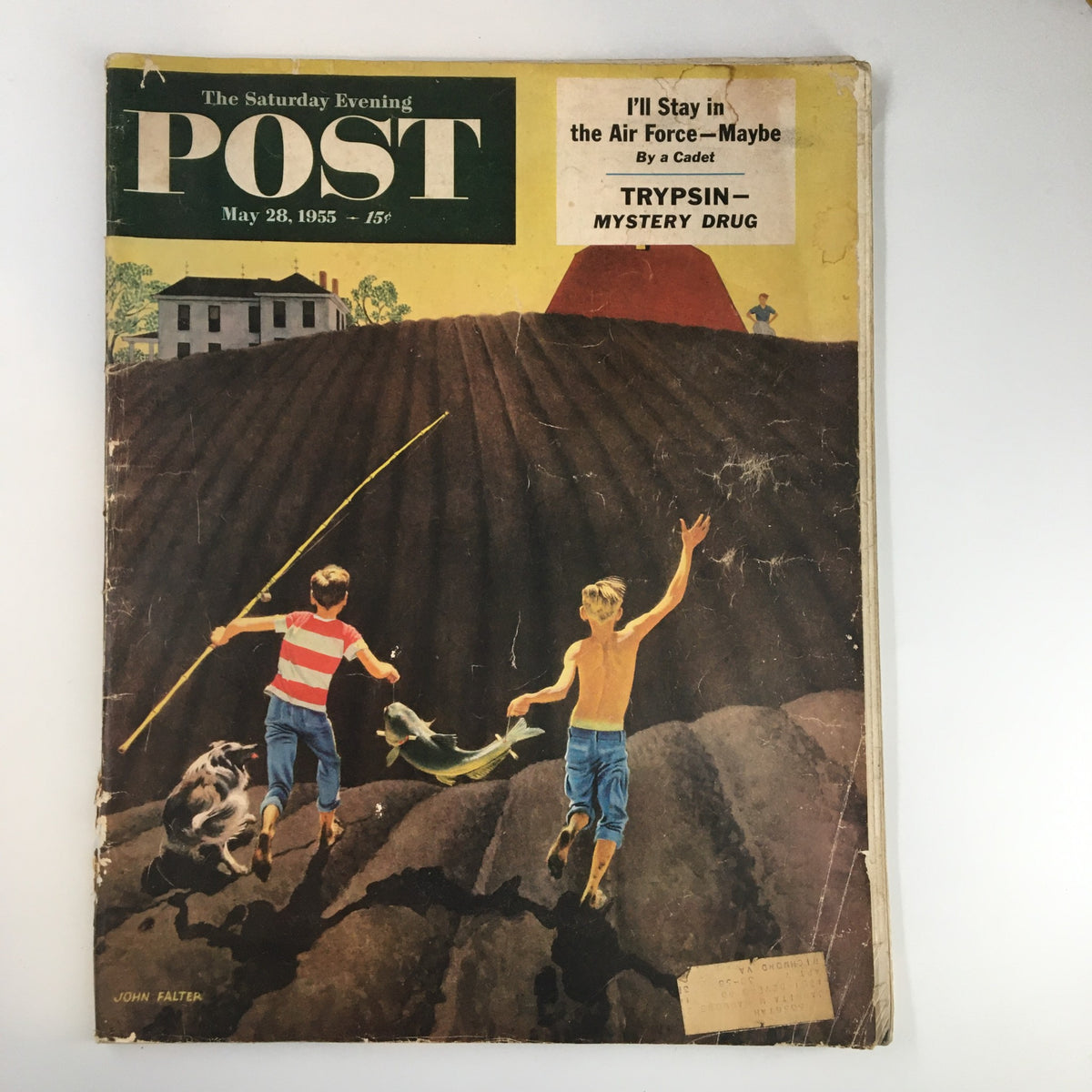 Cover of The Saturday Evening Post dated May 28, 1955, featuring the title 'I'll Stay in the Air Force—Maybe' by a Cadet, showing a vibrant illustration of two boys playing in a field with a dog and a fishing pole.