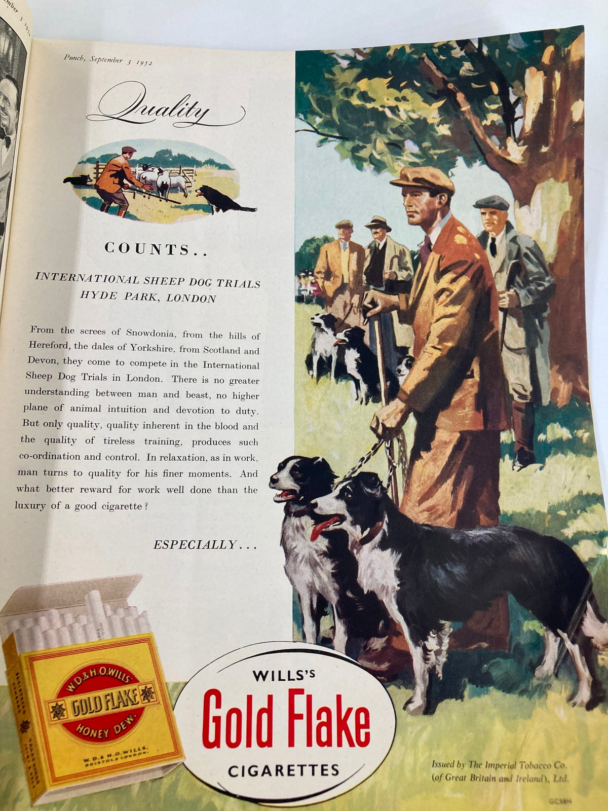 Interior page of the VTG Punch Magazine from September 3, 1952, presenting an advertisement for Wills's Gold Flake Cigarettes, accompanied by an artistic depiction of sheepdog trials.