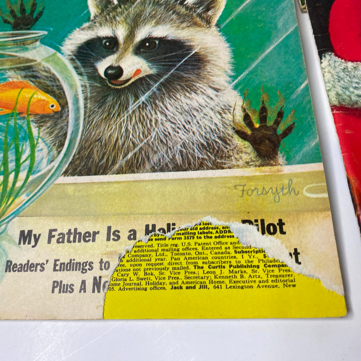 Lot of 33 Jack and Jill Story Magazine cover, depicting a raccoon and a fishbowl, illustrating whimsical stories appealing to children during the 1960s.