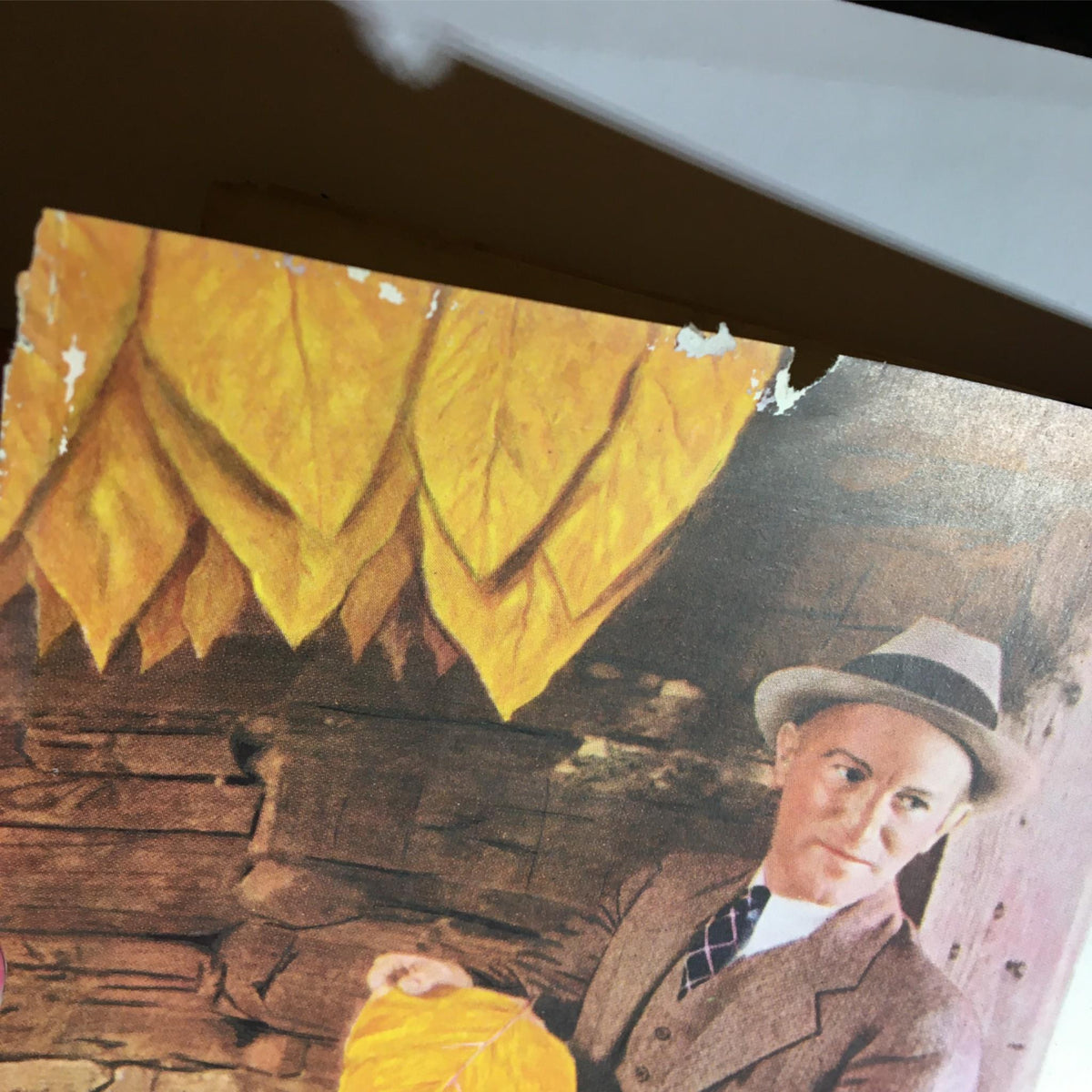 Close-up of the Newsweek Magazine August 14, 1939 cover highlighting the vibrant yellow tobacco leaves and a gentleman in a suit, emphasizing the magazine's nostalgic charm.