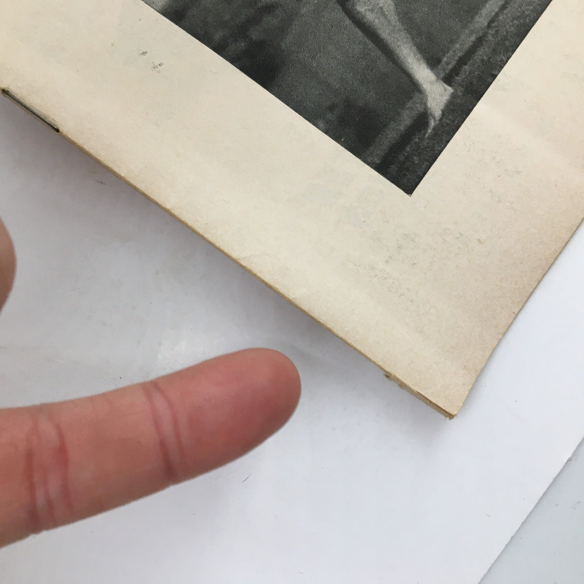 Close-up of the binding and edge of the 1953 Playbill for 'Wish You Were Here' showing signs of age and wear.