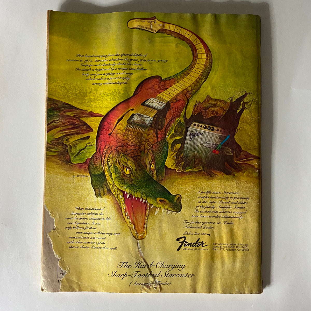 Back cover of VTG Guitar Player Magazine May 1977 with a colorful illustration of a guitar and a reptile, emphasizing guitar culture and brand advertisement.