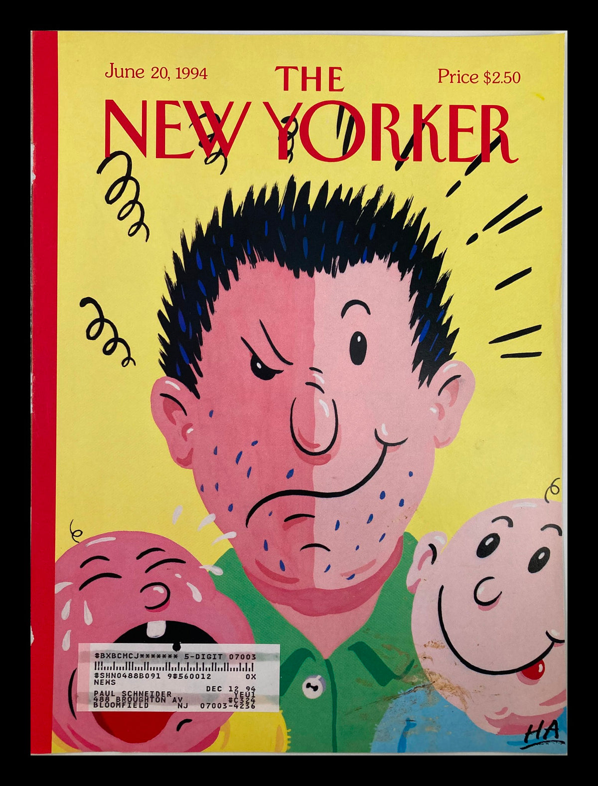Cover only of The New Yorker dated June 20, 1994, featuring a light-hearted illustration by Bob 'Ha' Zoell, depicting a father and two playful children, perfect for Father's Day decor.