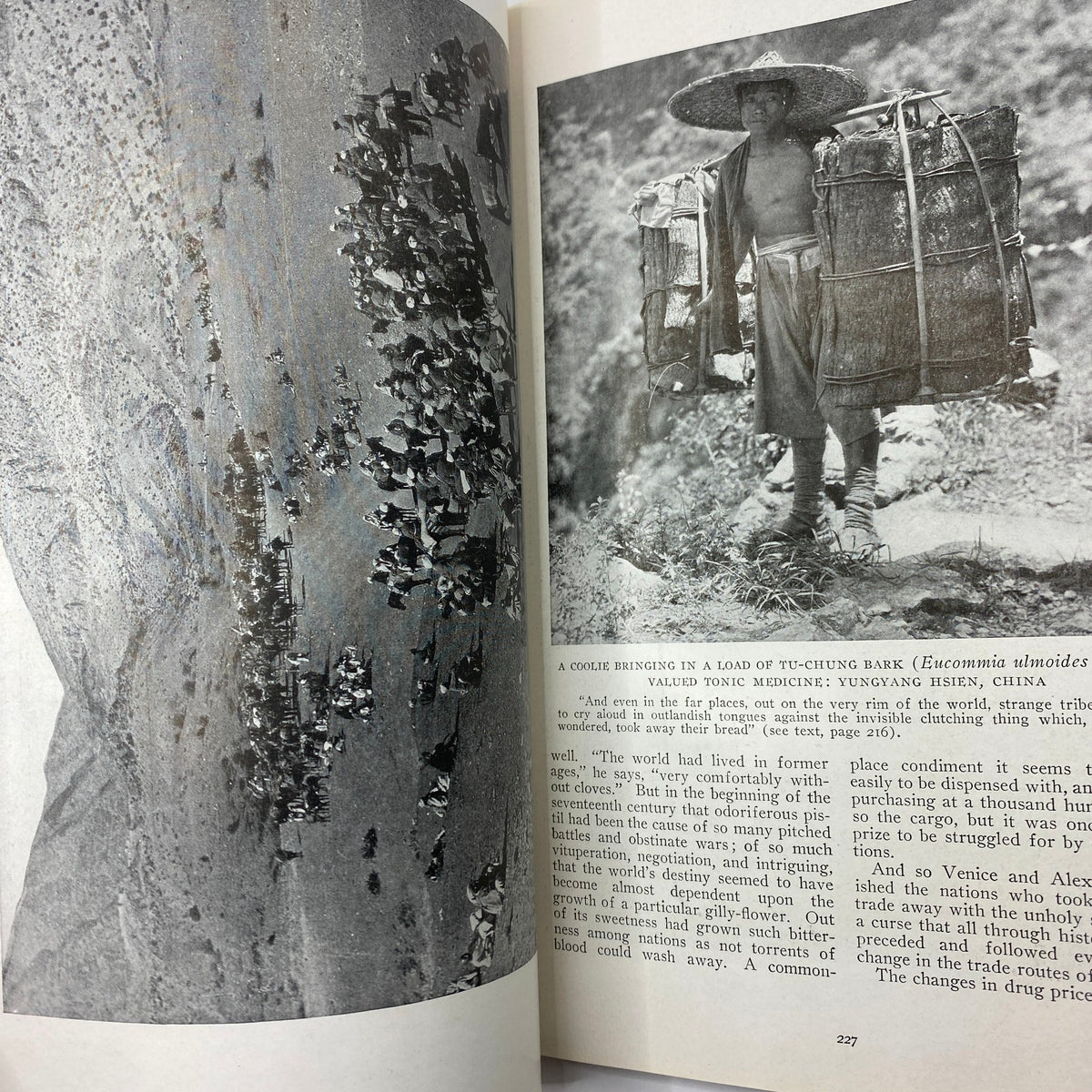 A historical image from the September 1917 National Geographic Magazine depicting a worker carrying a load of medicinal bark in China, illustrating the connection between geography and medicine.