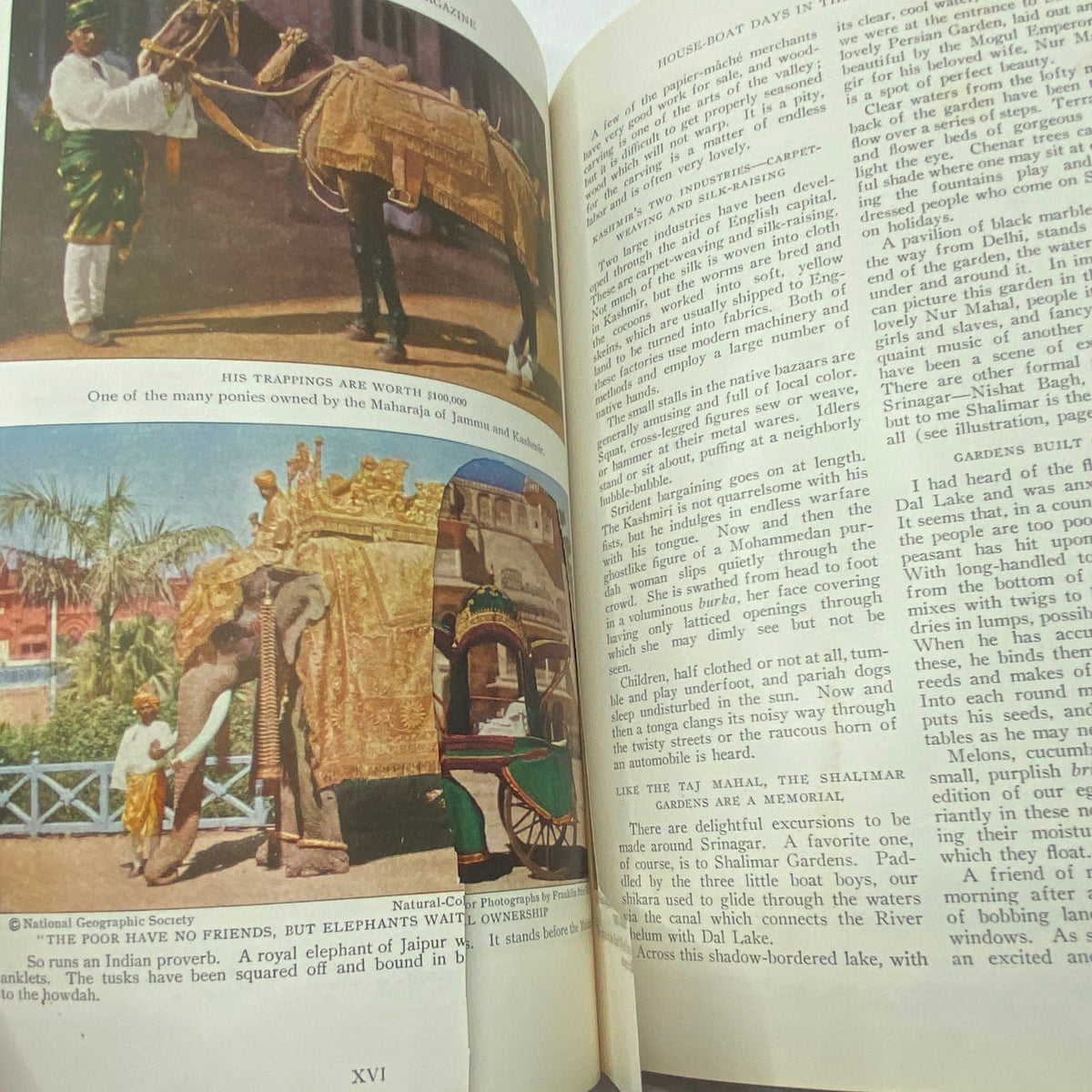 National Geographic Magazine October 1929, featuring visuals of luxurious elephants and intricate decorations illustrating historical opulence from India.