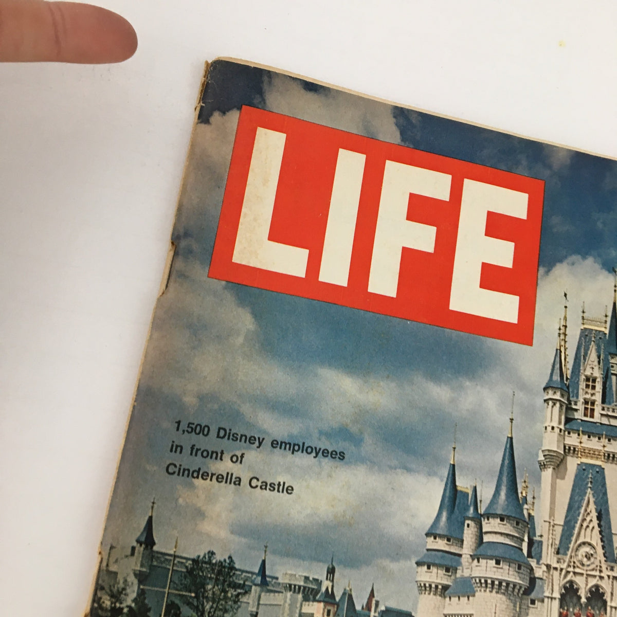 Cover of Life Magazine from October 15, 1971, featuring Disney World opens in front of Cinderella's Castle with the title 'LIFE' prominently displayed.