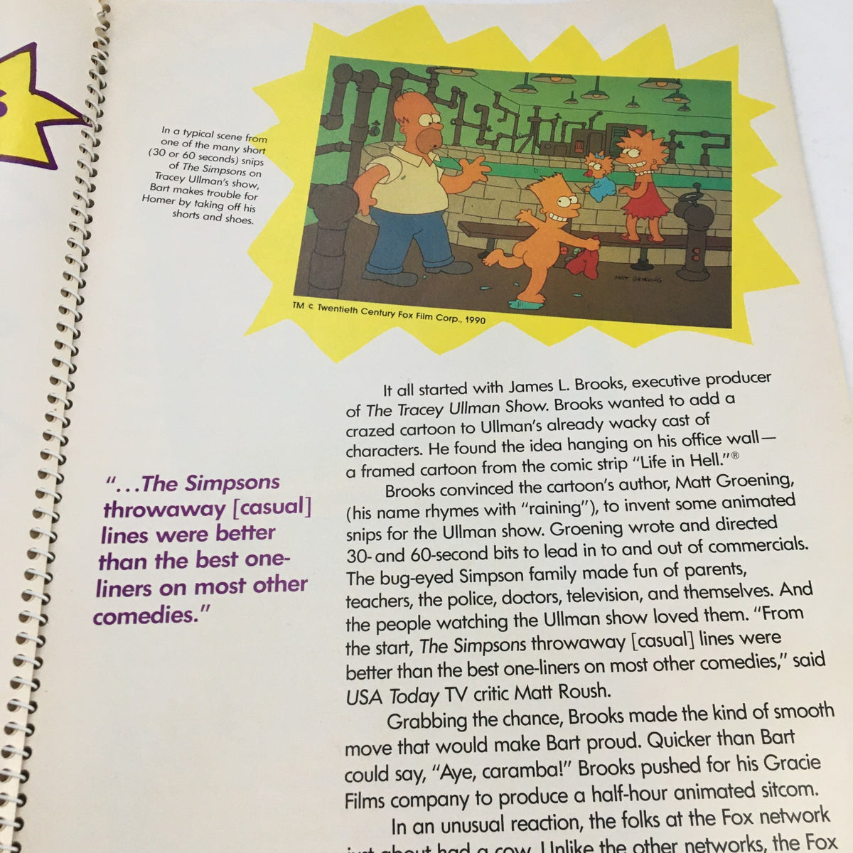 Page from '1990 Consumer Guide Presents Simpson Mania The History of TV's First Family' detailing executive producer James L. Brooks and behind-the-scenes insights of The Simpsons.