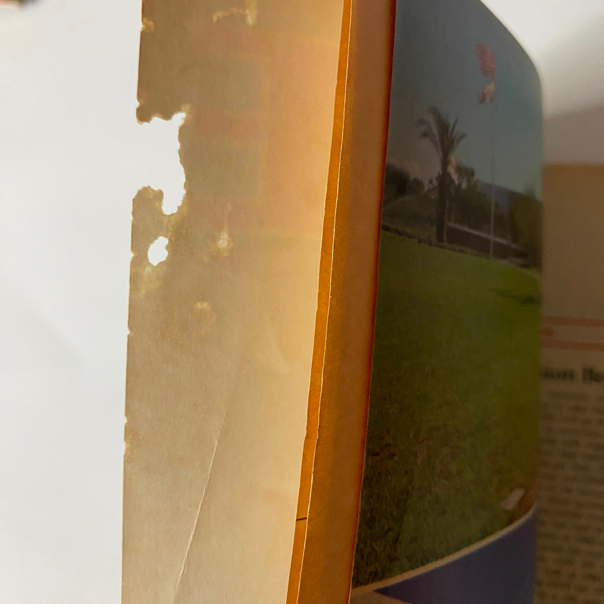 Close-up of the spine of Fortune Magazine January 12, 1981 featuring signs of wear and tear, illustrating its history as a collectible item.