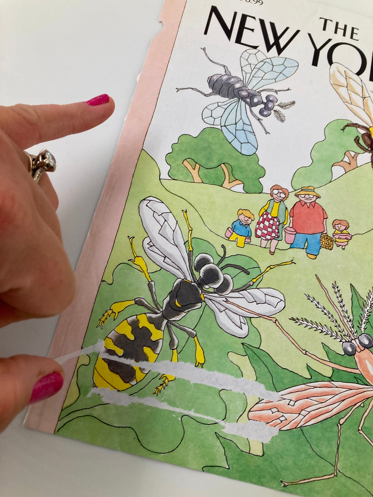 Close-up image highlighting minor wear on The New Yorker July 31, 2006 Picnic Reception cover by Gahan Wilson, featuring insect illustrations and a picnic scene.