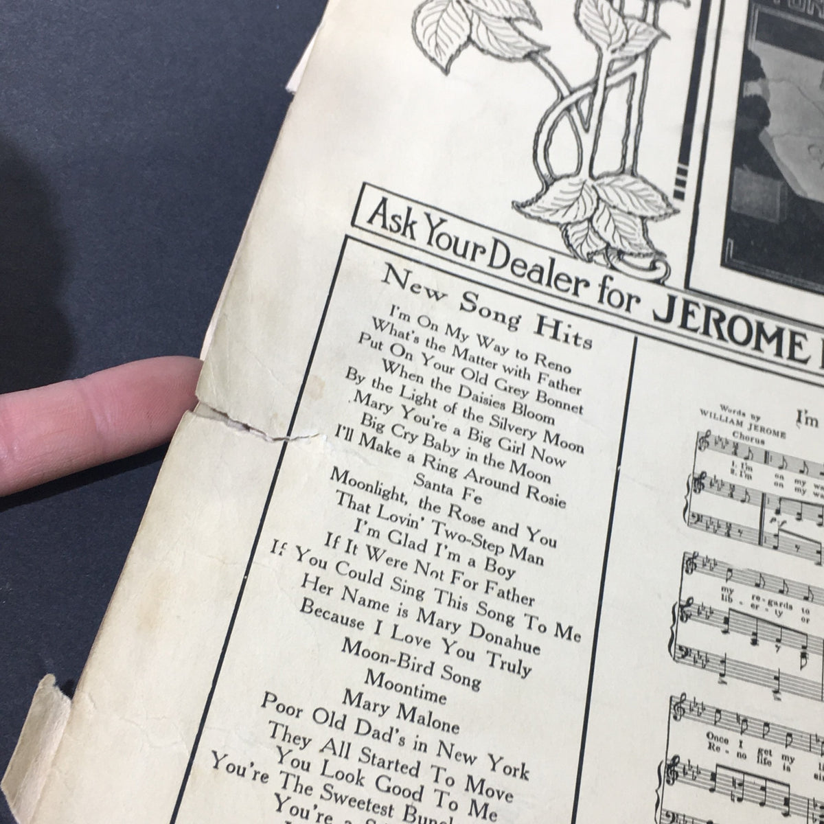 Close-up of the back cover of 'What's The Matter With Father' sheet music, highlighting new song hits listed alongside its details.