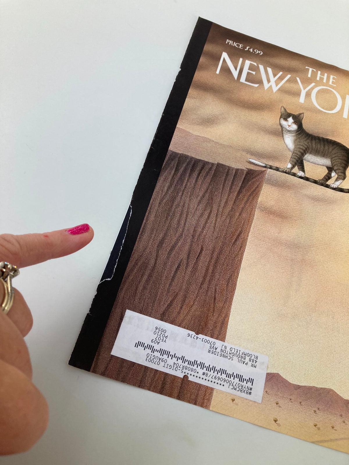 Cover of The New Yorker October 5, 2009 titled 'On The Edge' featuring an illustration of a cat and a textured wooden background, showcasing minor wear and a label on the front.