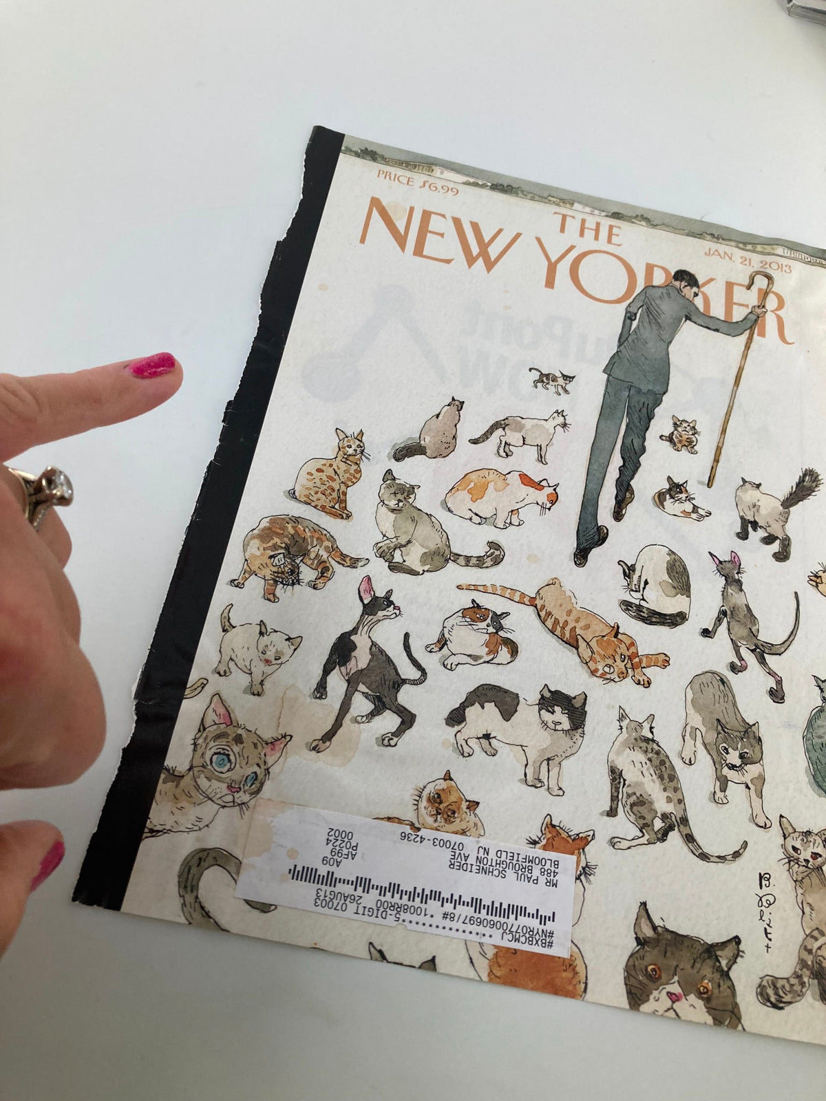 The New Yorker cover for January 21, 2013, titled 'Herding Cats' by Barry Blitt, illustrating a playful assortment of cats with a central figure in a suit and cane.