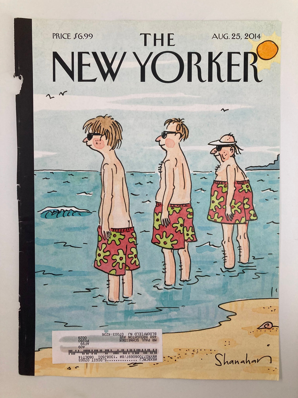Cover art from The New Yorker August 25 2014 titled 'Trunk Show' by Danny Shanahan, showcasing three characters in floral swim trunks by the ocean.