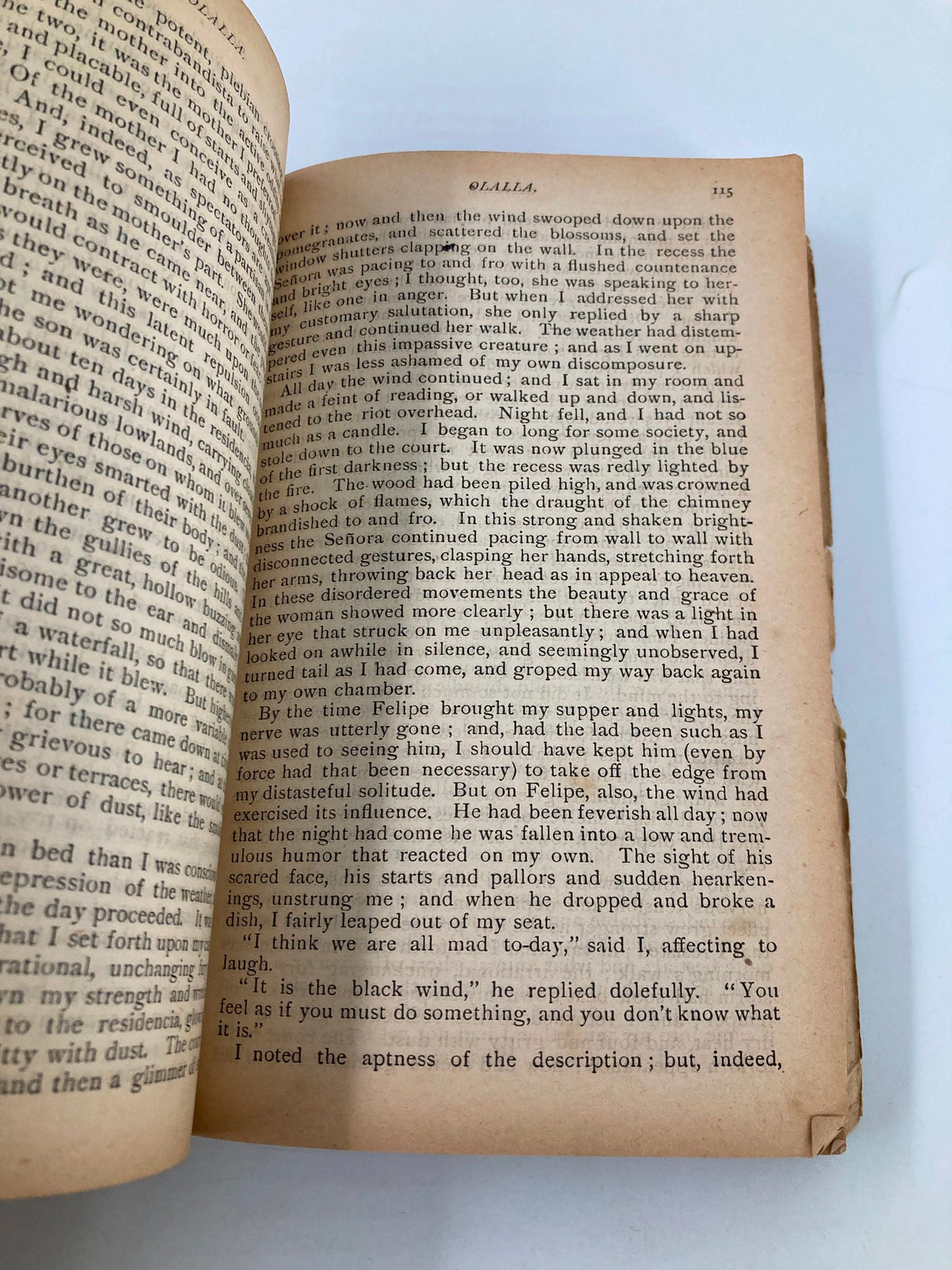 The Red-Letter Series No. III The Merry Men and Other Tales and Fables - Another open page featuring written content, highlighting the book's condition with visible signs of wear.