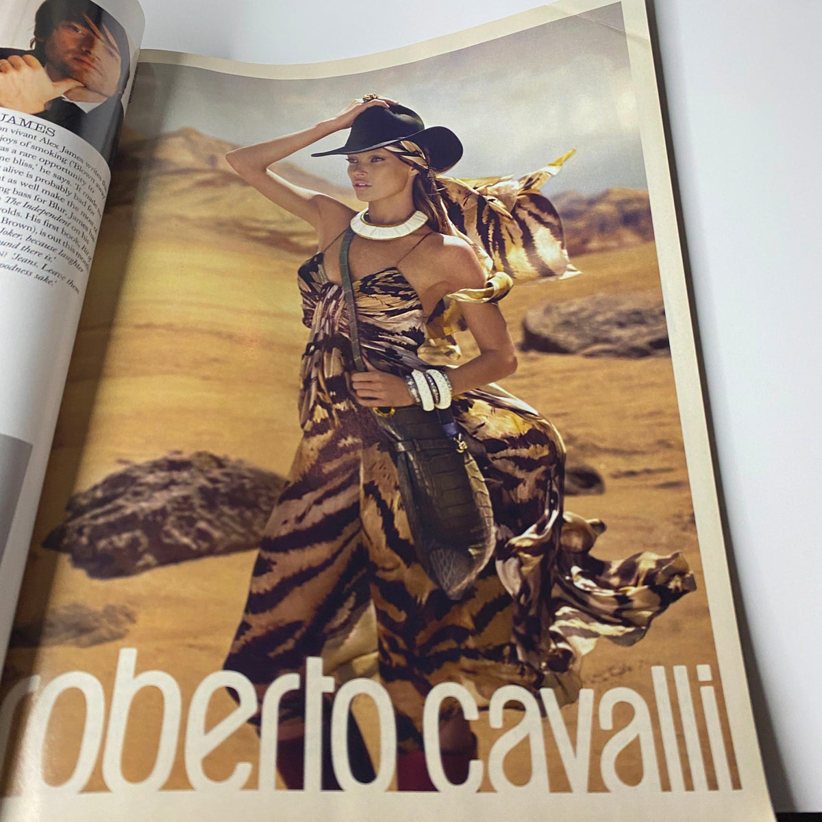 Fashion editorial spread from Harper's Bazaar British Magazine July 2007 featuring a model in a Roberto Cavalli tiger print dress, showcasing bold fashion statements.