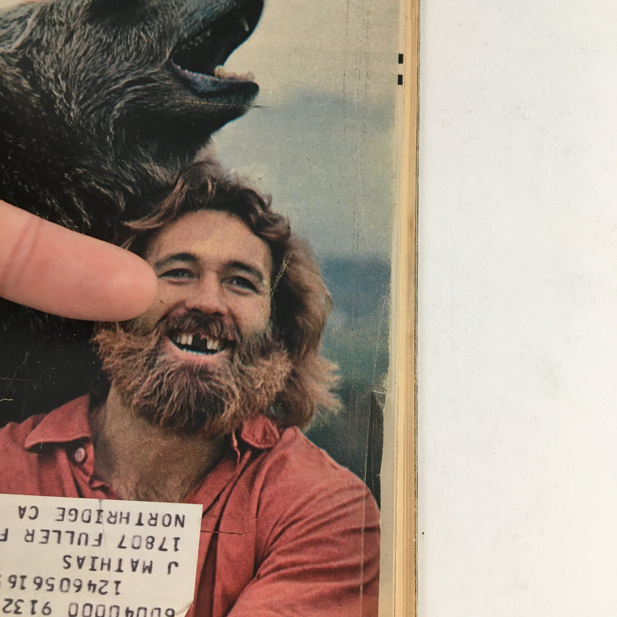 Close-up of the cover of TV Guide Magazine June 11 1977, displaying Dan Haggerty and a bear with a vintage address label.