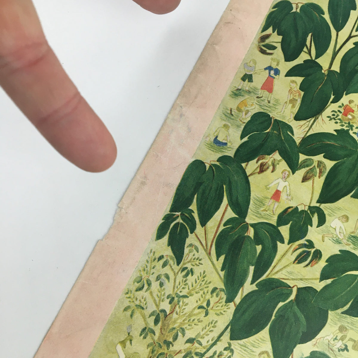 Detail of the cover of The New Yorker June 25, 1955 featuring vibrant illustrations of foliage and children, showcasing the artistic theme by Ilonka Karasz.