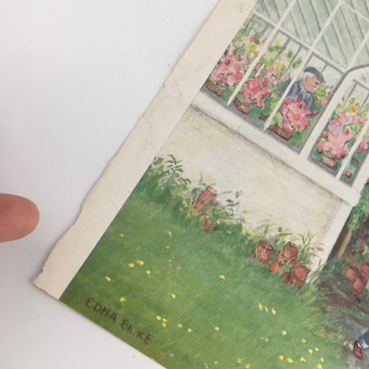 Close-up detail of the May 7, 1955, cover of The New Yorker, showcasing Edna Eicke's signature on the illustration, which features a child and a greenhouse filled with flowers.