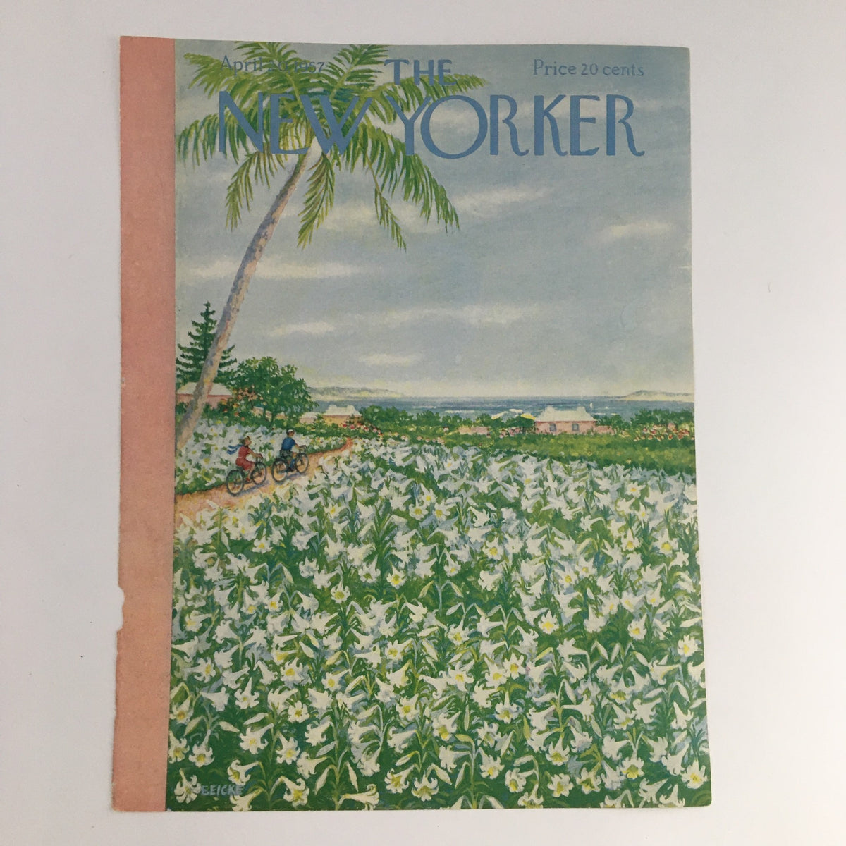 The New Yorker April 20 1955 cover art depicting a picturesque scene of cyclists riding through a field of white flowers under palm trees, created by artist Edna Eicke.